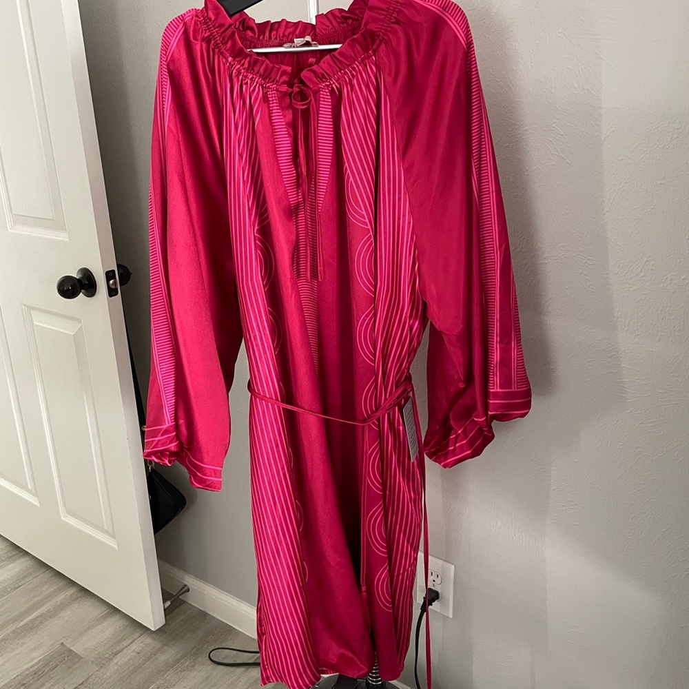 Ciebon Fuchsia Mini Dress with Tassel Accents - Picture 9 of 10